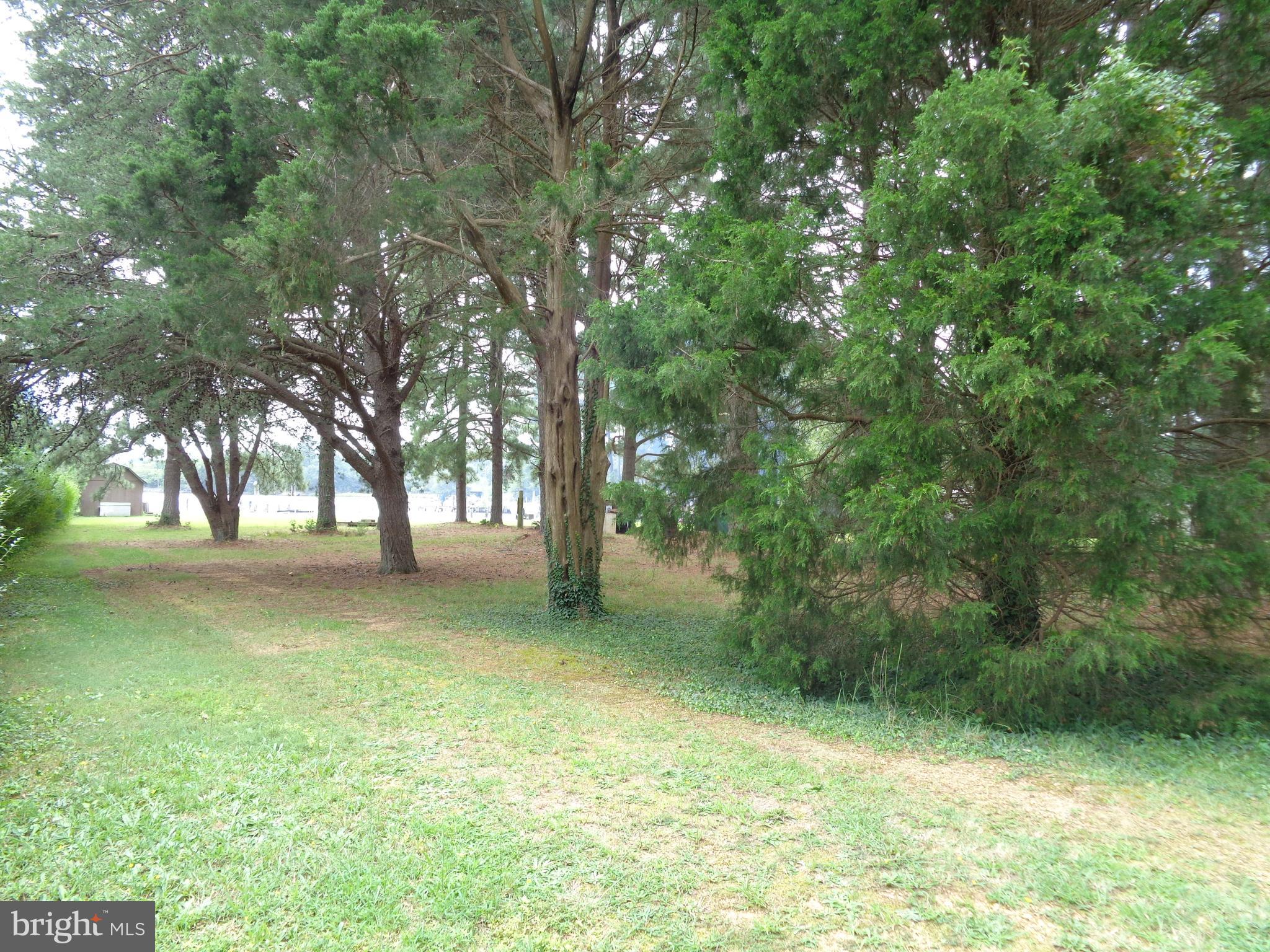 Lot 6 Cornell Avenue Ridge, MD 20680 - Photo 14 of 19 Gallery Image 14