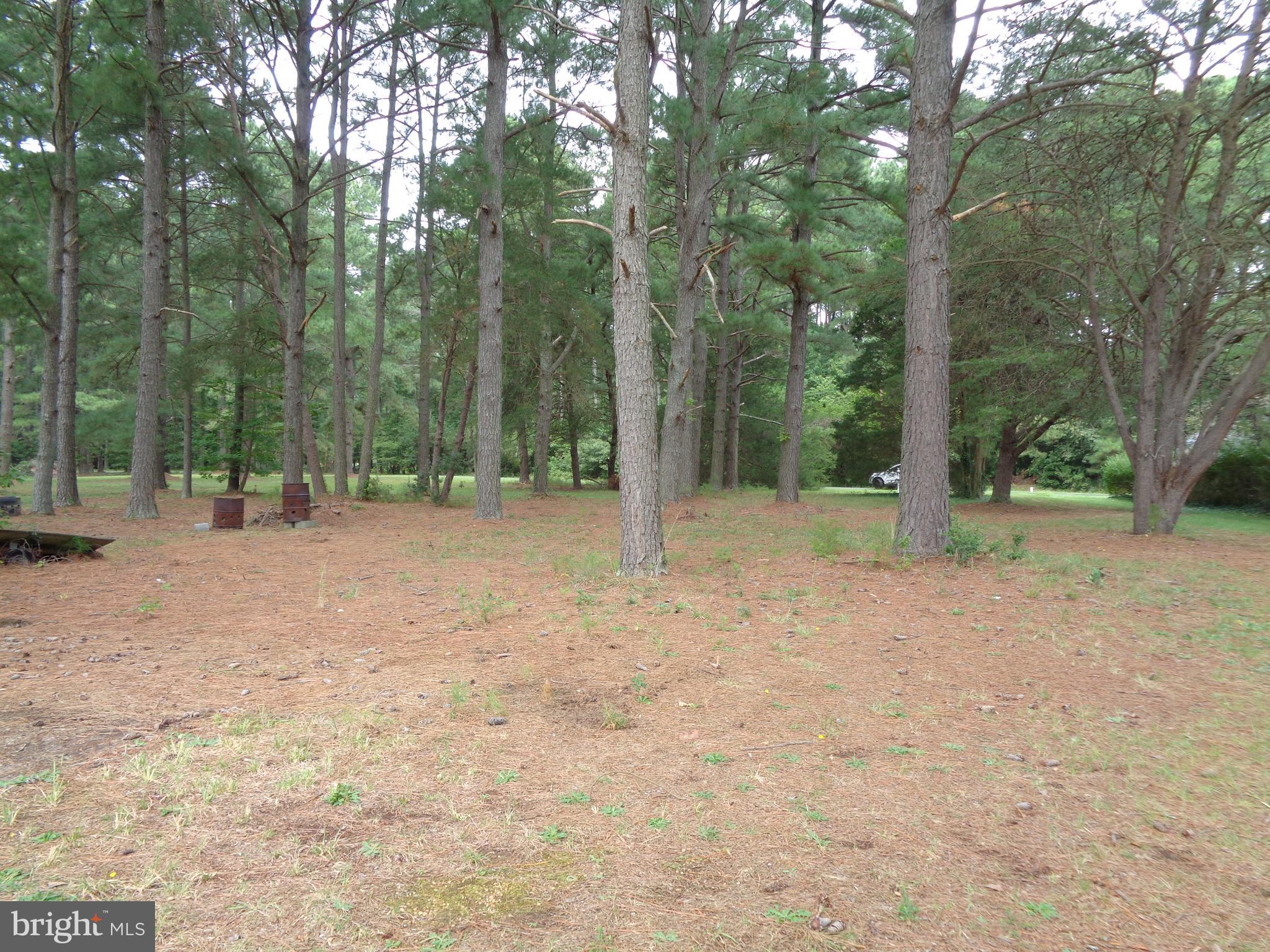 Lot 6 Cornell Avenue Ridge, MD 20680 - Photo 16 of 19 Gallery Image 16