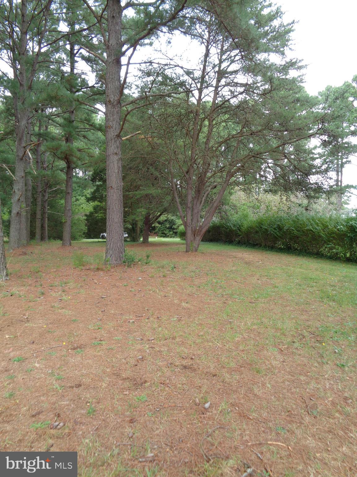 Lot 6 Cornell Avenue Ridge, MD 20680 - Photo 17 of 19 Gallery Image 17