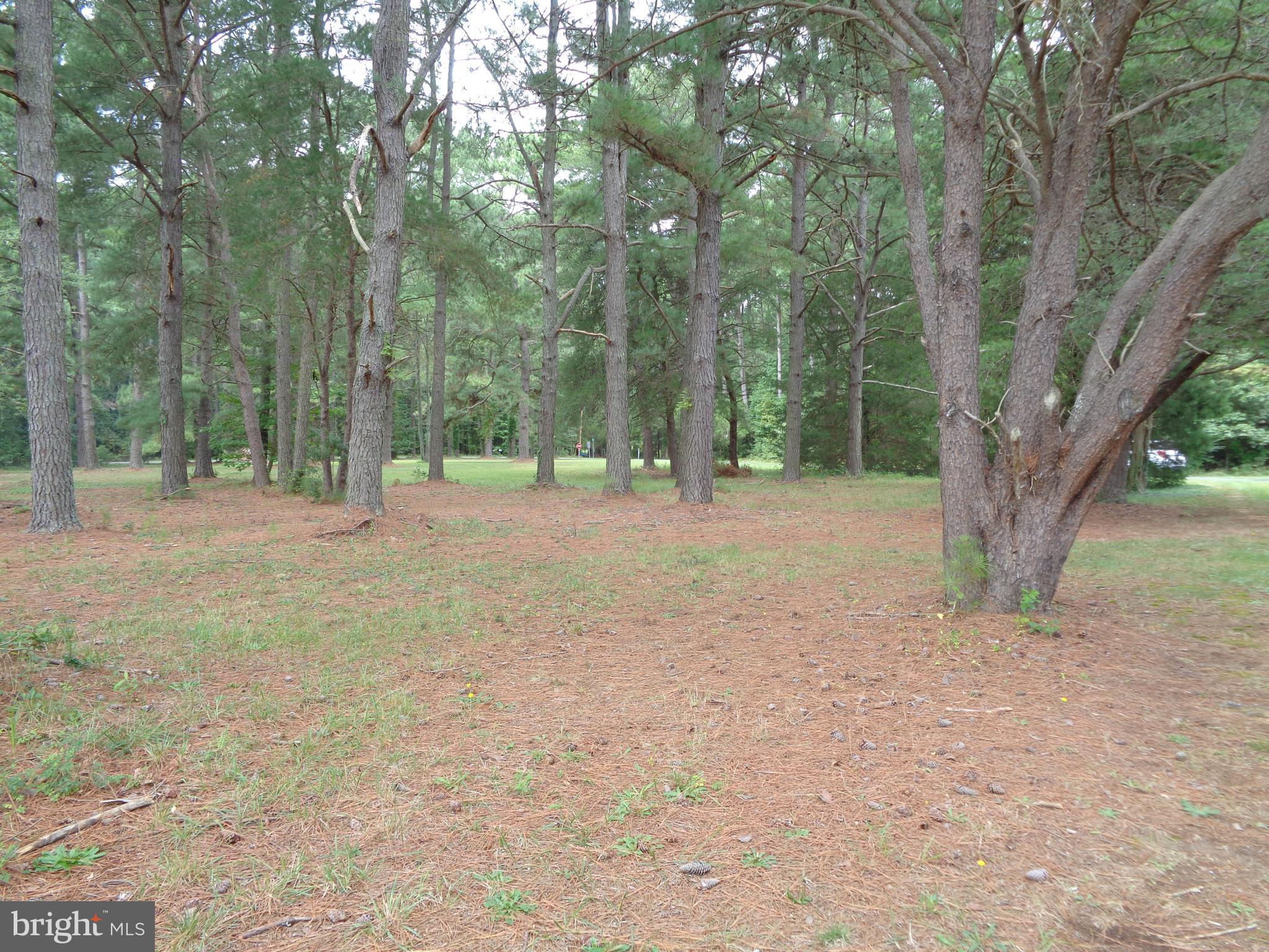 Lot 6 Cornell Avenue Ridge, MD 20680 - Photo 18 of 19 Gallery Image 18