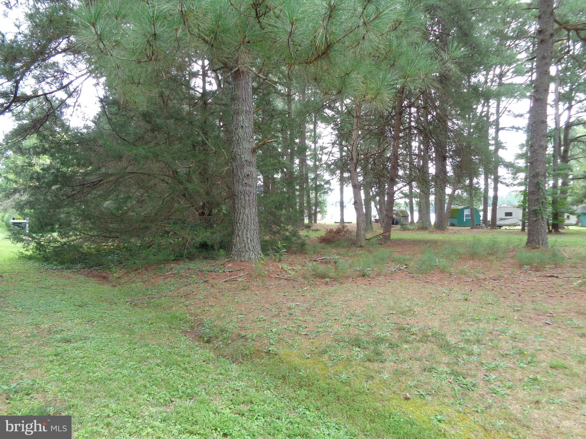 Lot 6 Cornell Avenue Ridge, MD 20680 - Photo 9 of 19 Gallery Image 9