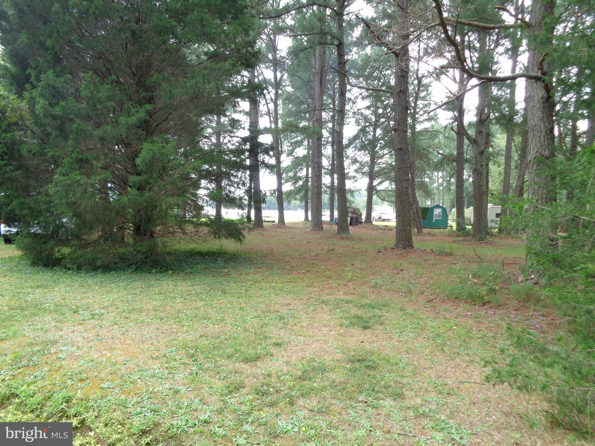 Lot 6 Cornell Avenue Ridge, MD 20680 - Photo 10 of 19 Gallery Image 10