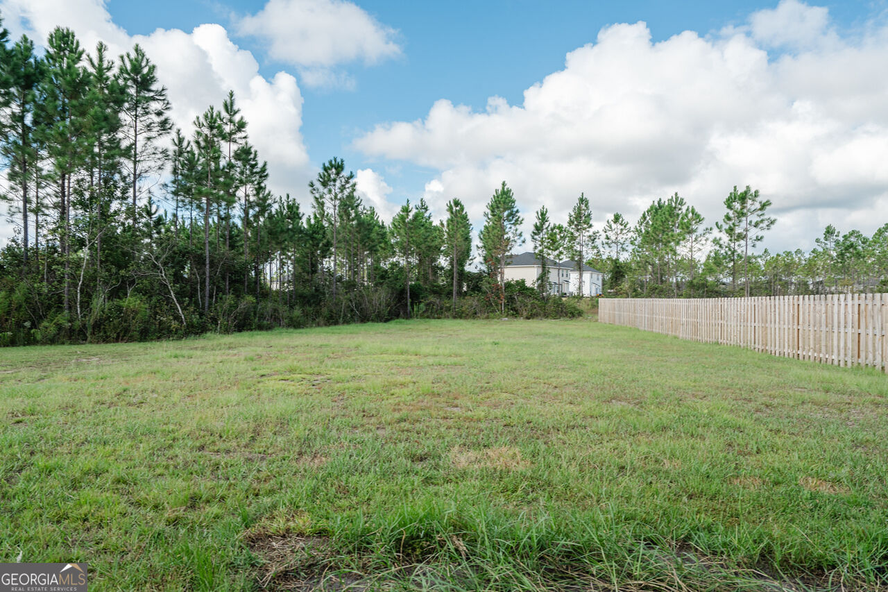 446 McClelland Road Northeast Ludowici, GA 31316 - Photo 55 of 57 Gallery Image 55