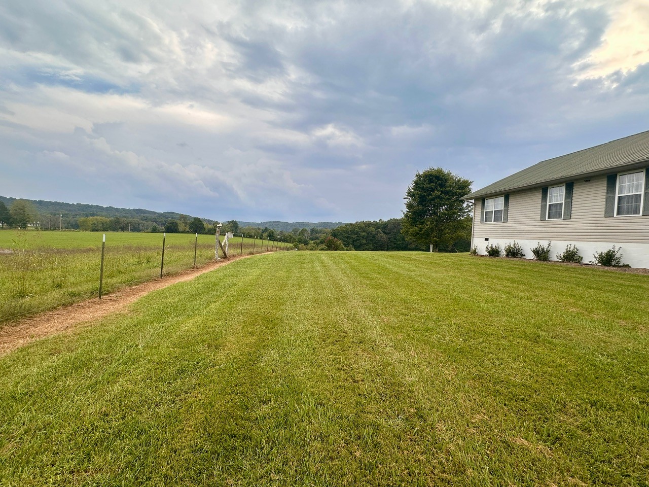 12343 Griffith Road Pikeville, TN 37367 - Photo 14 of 40