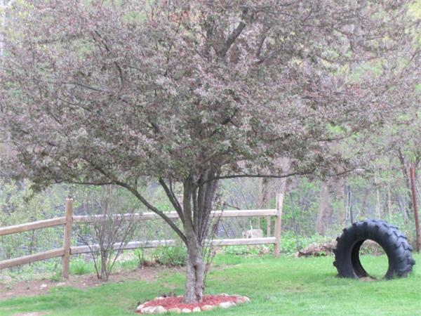 56 Green Road North Brookfield, MA 01535 - Photo 4 of 28 Gallery Image 4