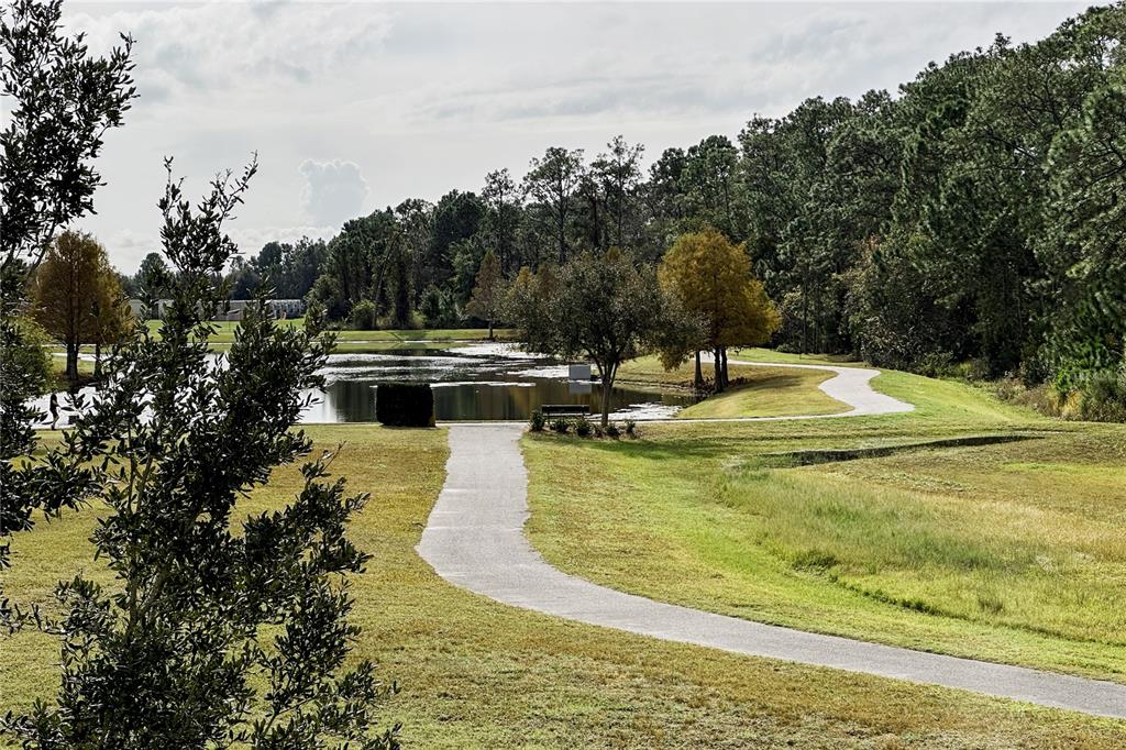 14551 Yellow Butterfly Road Winter Garden, FL 34787 - Photo 34 of 51