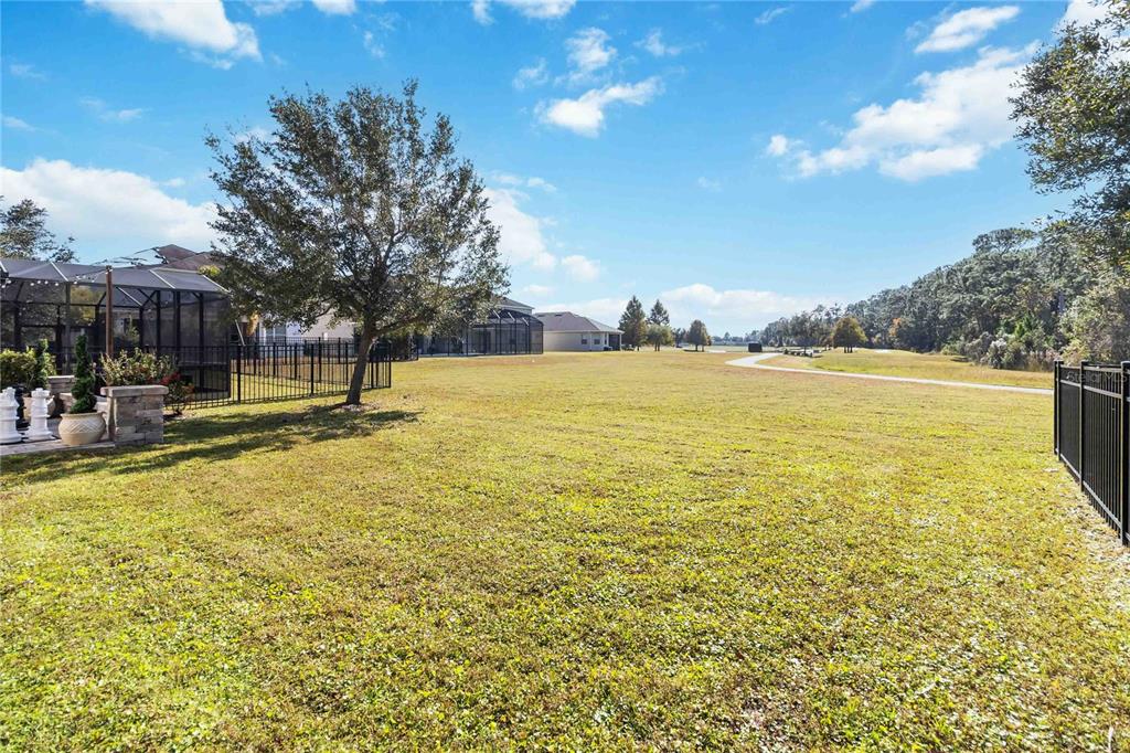 14551 Yellow Butterfly Road Winter Garden, FL 34787 - Photo 42 of 51