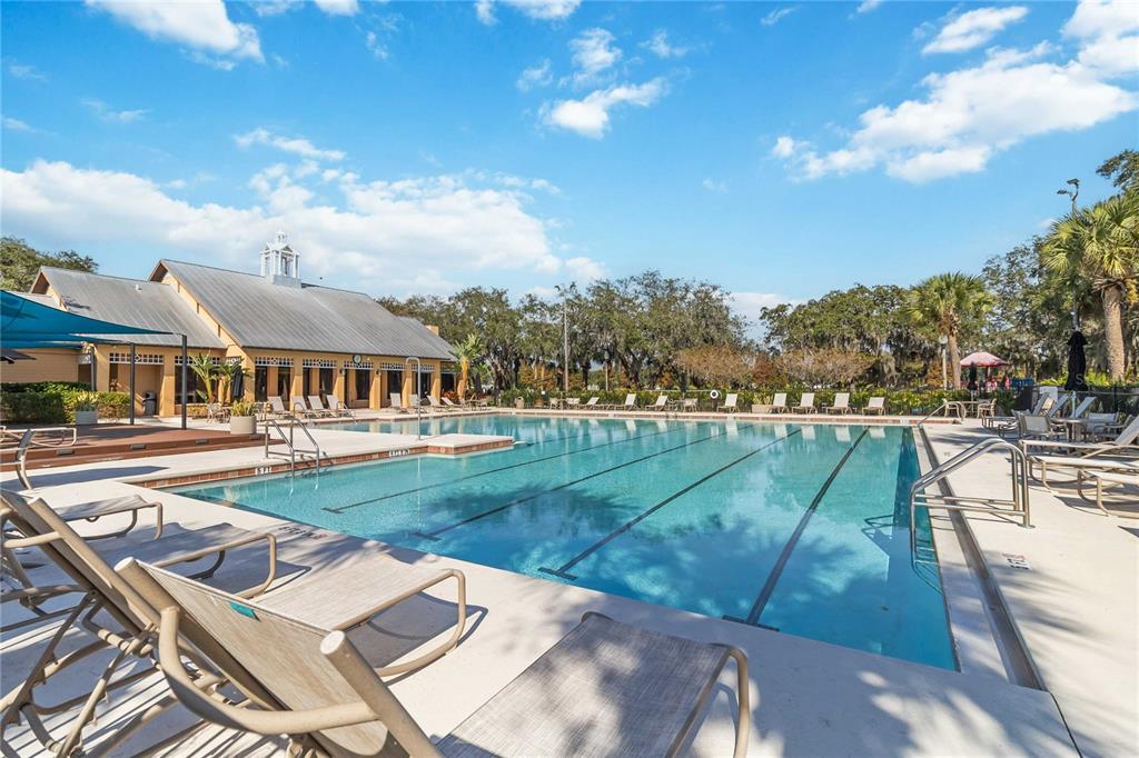 14551 Yellow Butterfly Road Winter Garden, FL 34787 - Photo 50 of 51