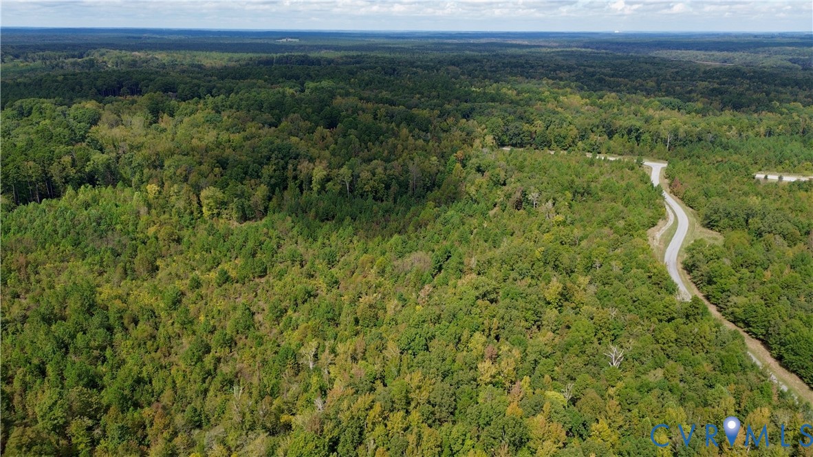 7246 MacDonald Road Scottsburg, VA 24589 - Photo 18 of 46 a view of a forest with a street