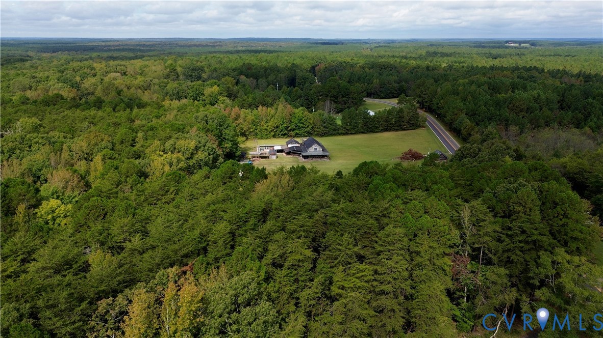 7246 MacDonald Road Scottsburg, VA 24589 - Photo 2 of 46 a view of a lush green forest with a sink and a yard