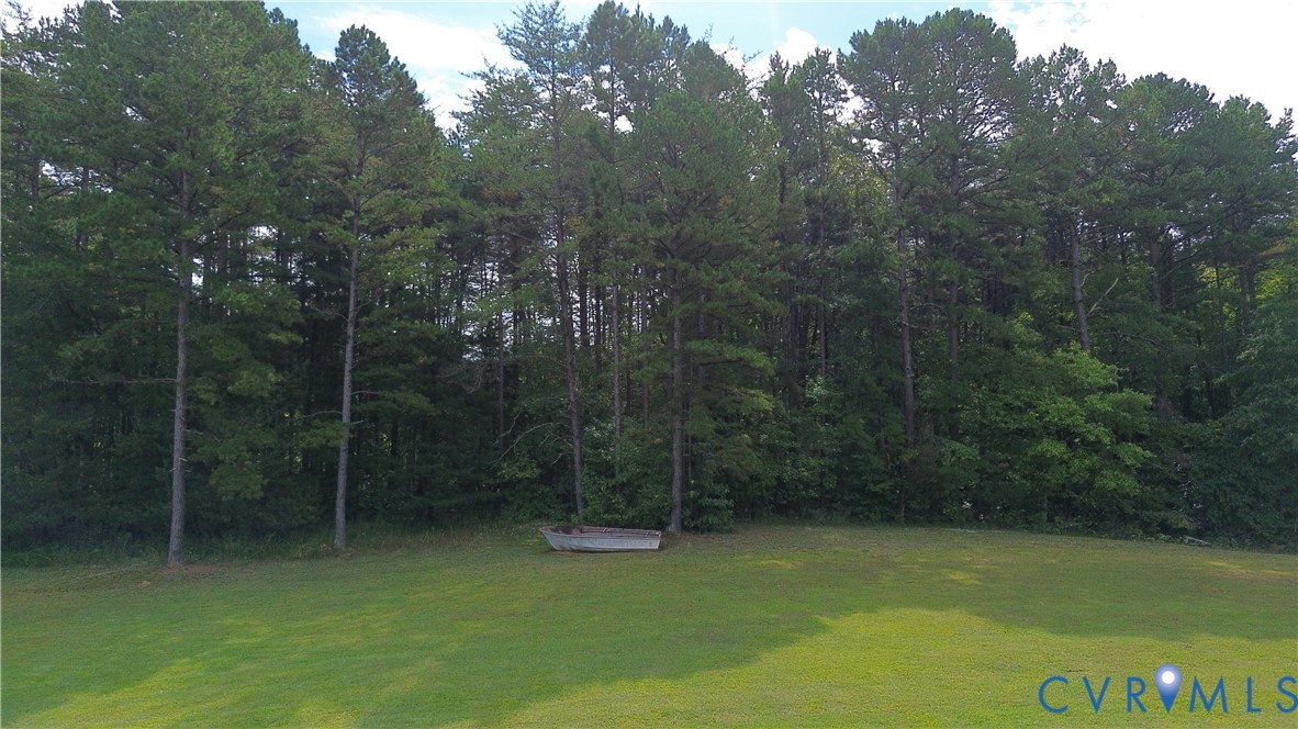 7246 MacDonald Road Scottsburg, VA 24589 - Photo 21 of 46 a view of a green field with a tree