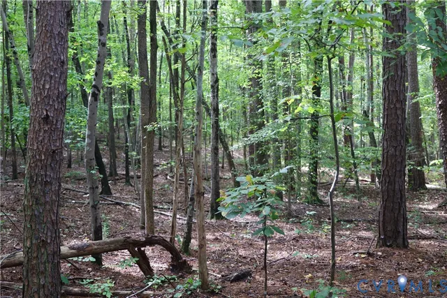 $109,500 | 7246 MacDonald Road, Scottsburg, VA 24589