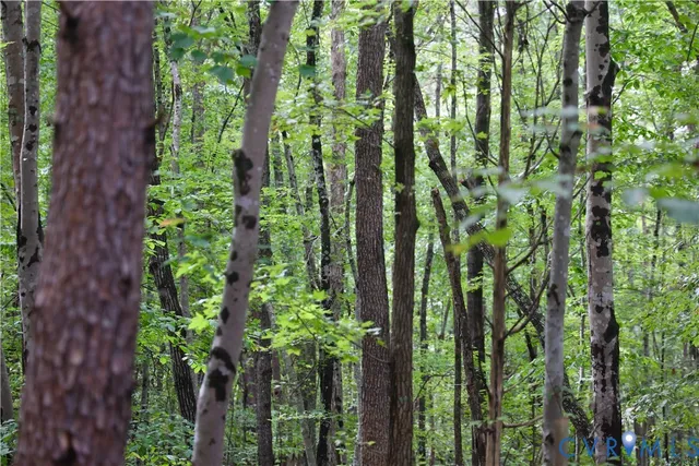 $109,500 | 7246 MacDonald Road, Scottsburg, VA 24589