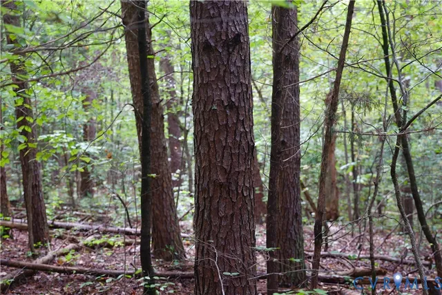 $109,500 | 7246 MacDonald Road, Scottsburg, VA 24589