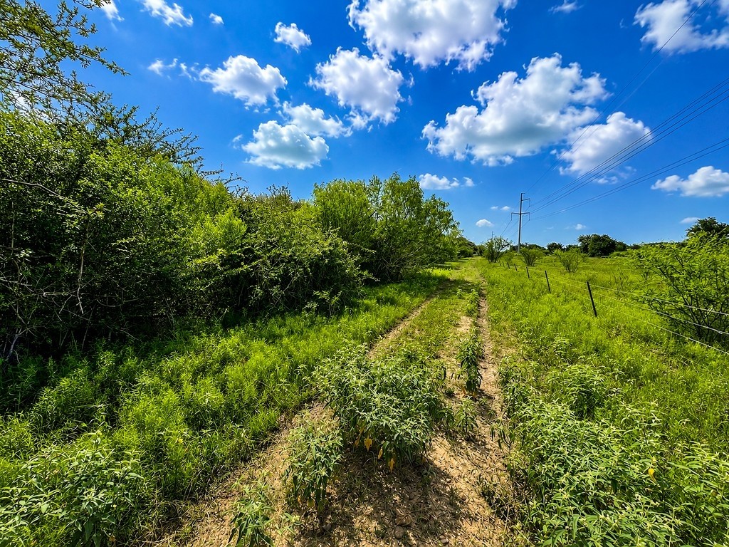 Tbd Water Oak Road Columbus, TX 78934 - Photo 11 of 14