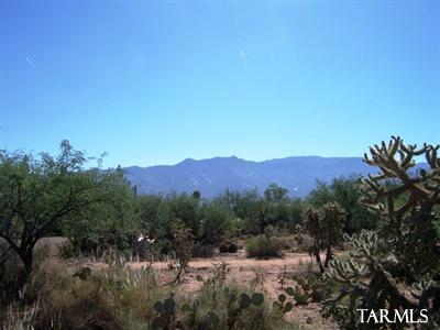 16350 North Silverthorn Road Tucson, AZ 85739 - Photo 9 of 10 Gallery Image 9