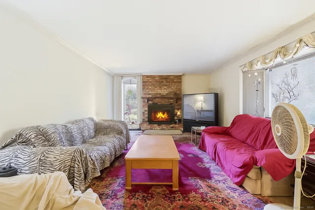 a living room with furniture and a couch