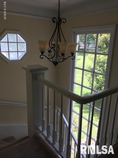 257 Phillips Road Carbondale, IL 62902 - Photo 17 of 29 Gallery Image 17
