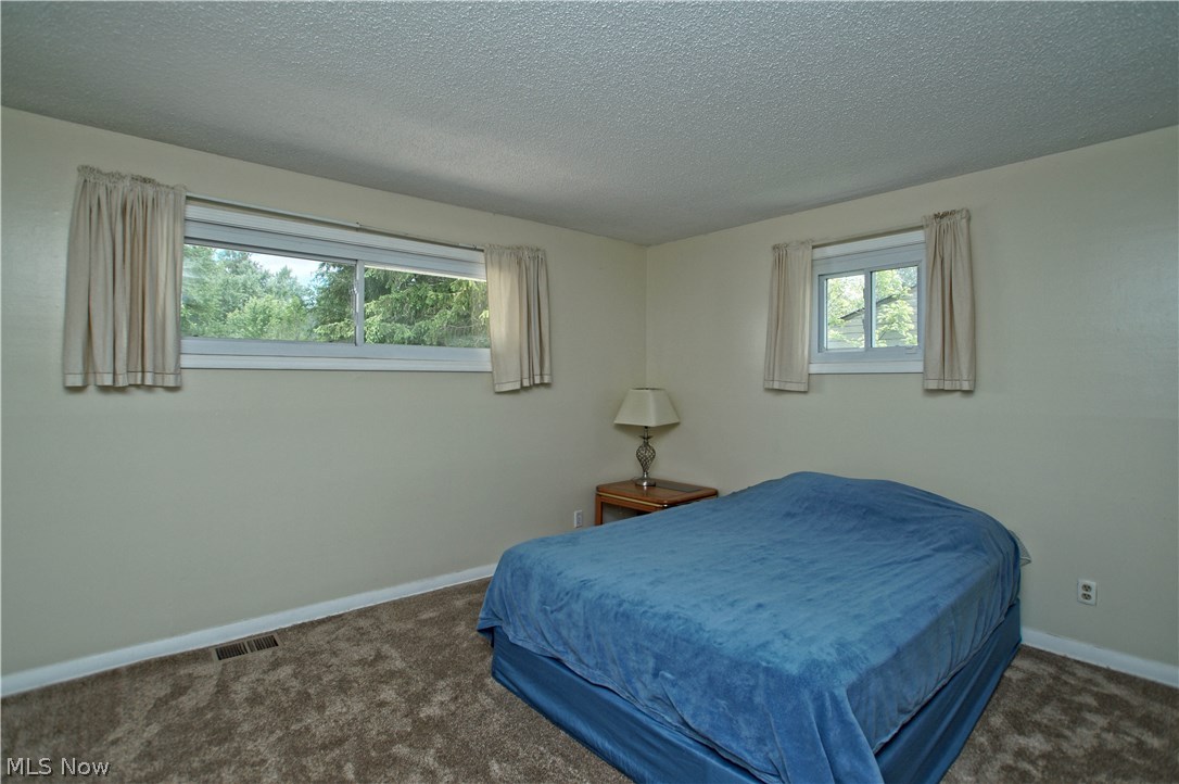 10834 Thwing Road Chardon, OH 44024 - Photo 17 of 27 Gallery Image 17