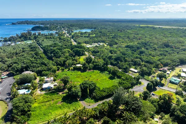 a view of swimming pool from a window