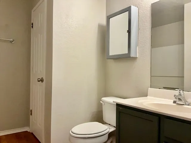 a bathroom with a toilet a sink and mirror