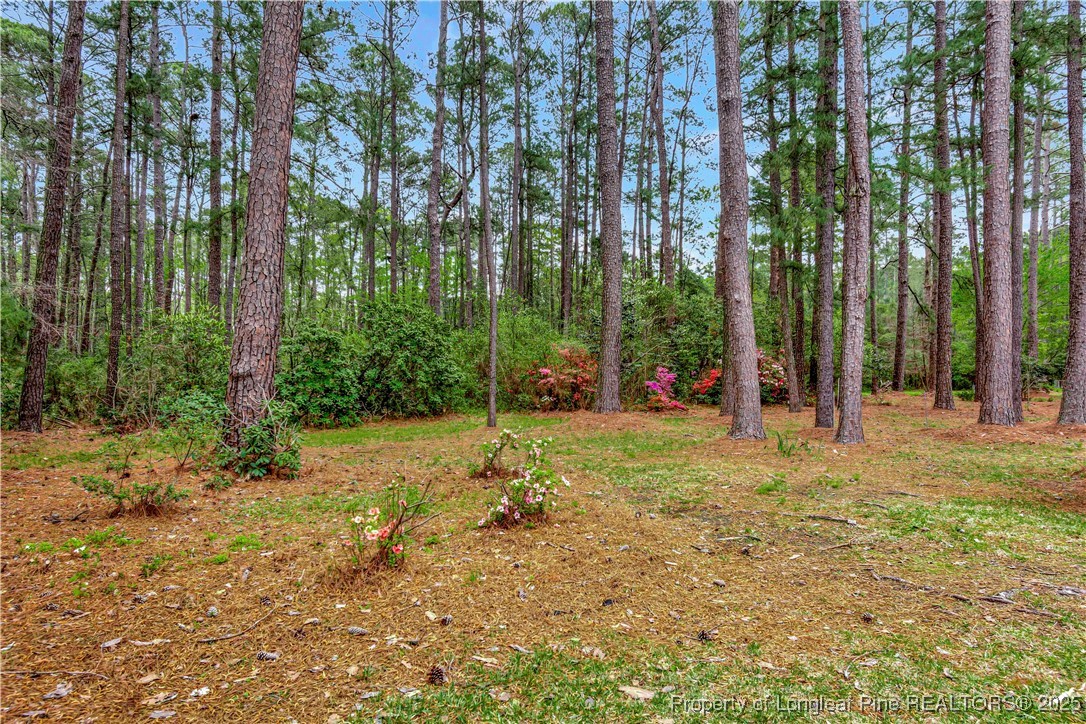 700 Watts Road Lumberton, NC 28360 - Photo 39 of 40 Gallery Image 39