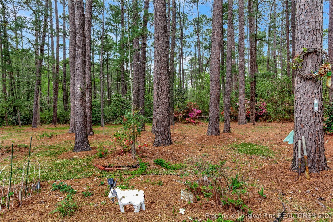 700 Watts Road Lumberton, NC 28360 - Photo 40 of 40 Gallery Image 40