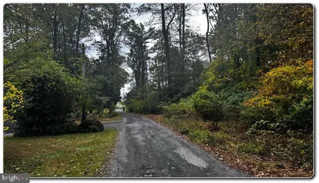a view of a yard with plants