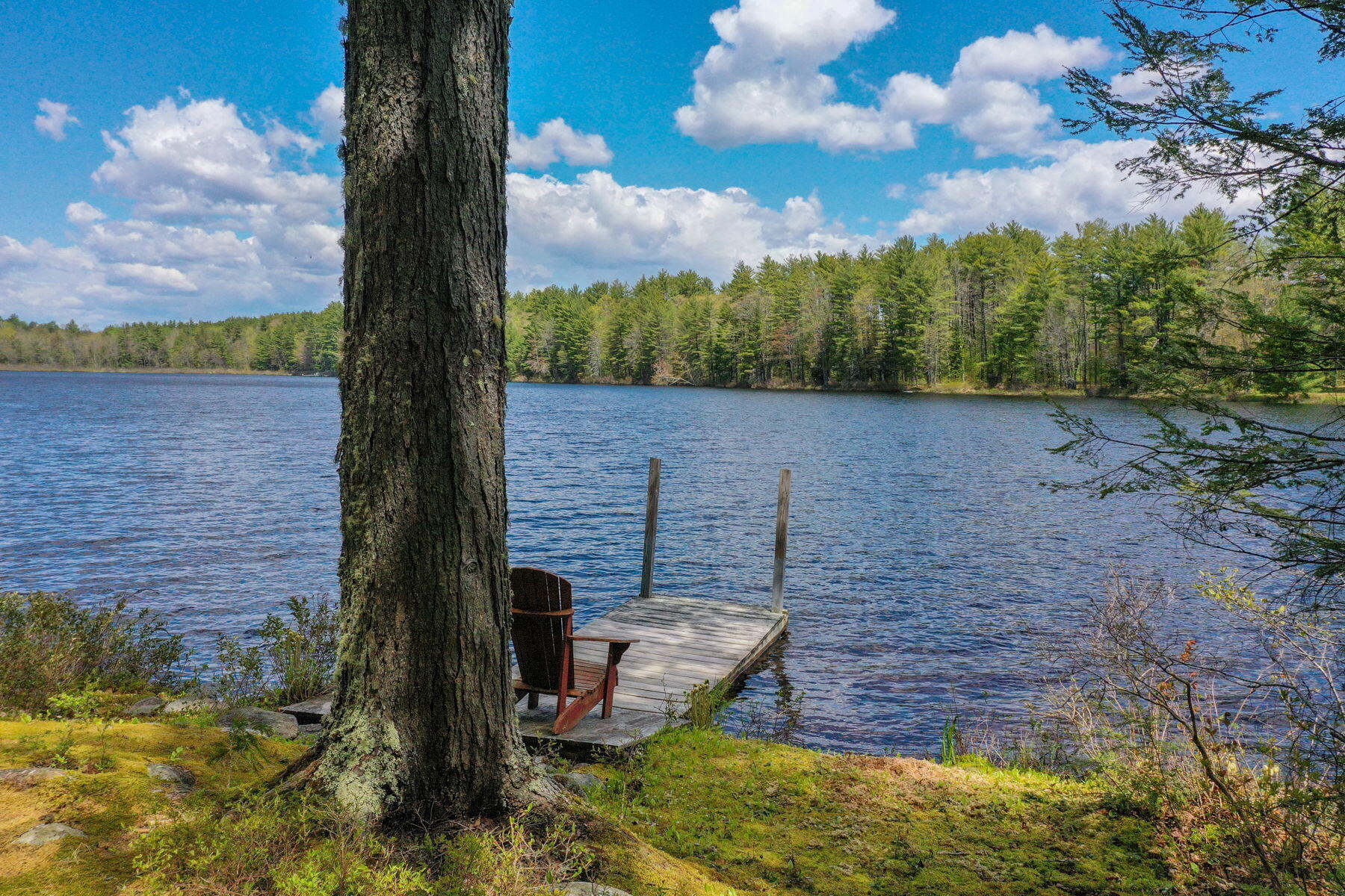 35 Beaver Dam Road Harrison, ME 04040 - Photo 1 of 13 90 ft of owned waterfront
