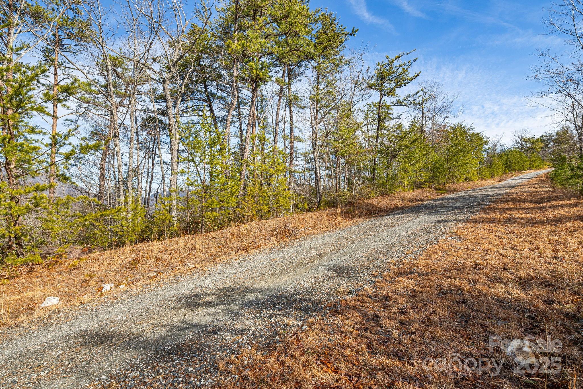 0 Fox Ridge Trail, Unit 17 Marion, NC 28752 - Photo 4 of 17