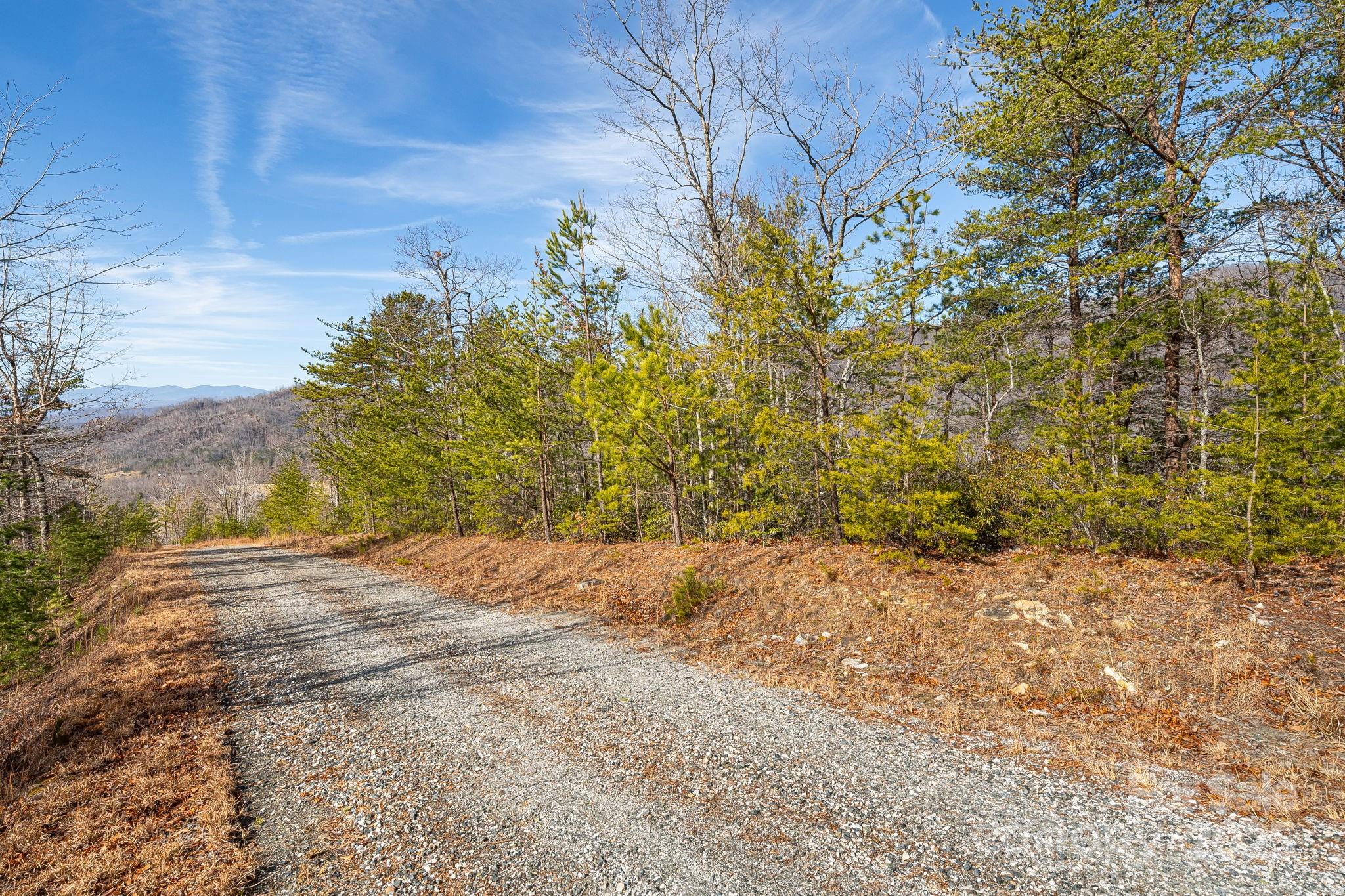 0 Fox Ridge Trail, Unit 17 Marion, NC 28752 - Photo 5 of 17