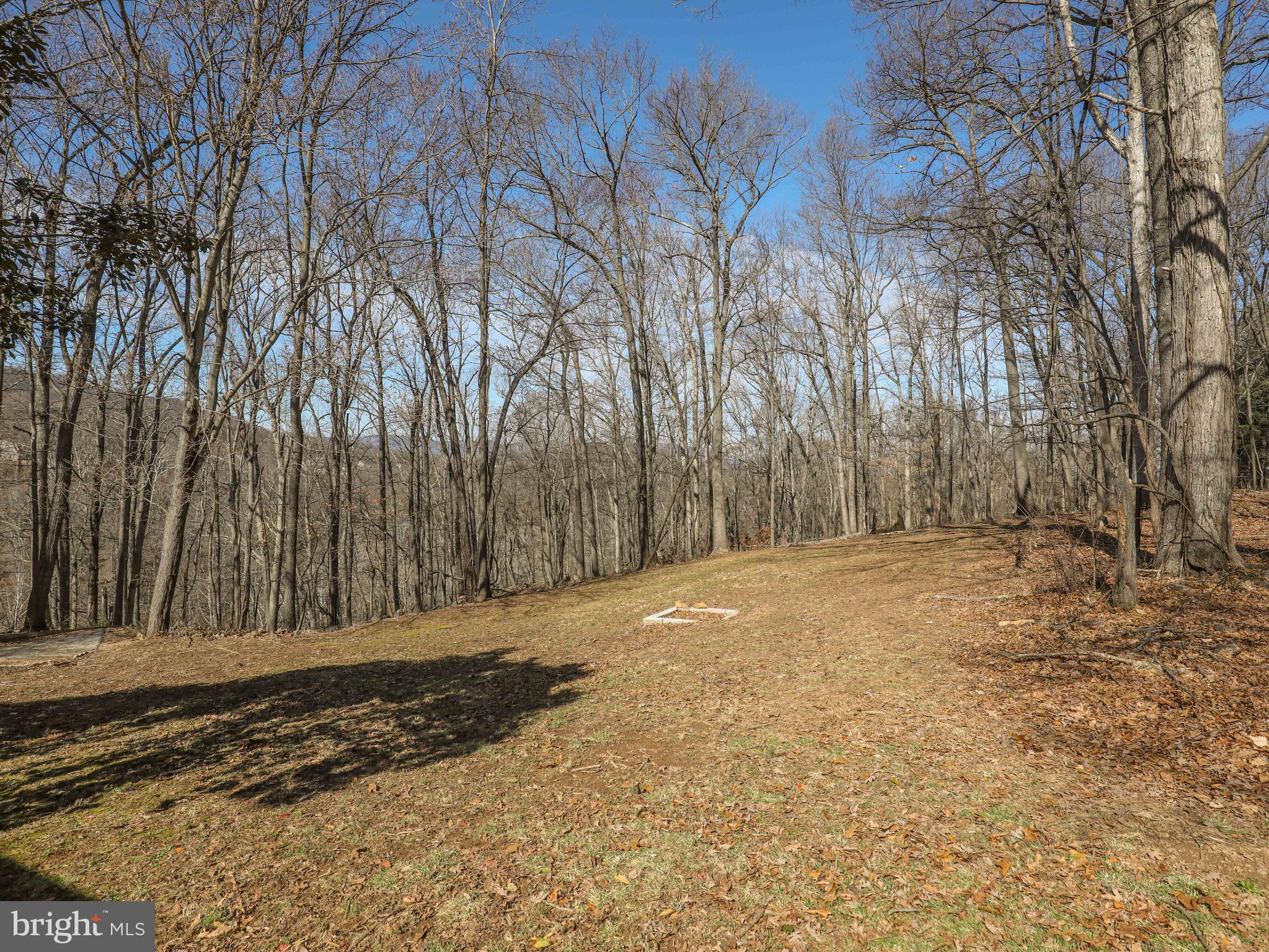 708 Remount Road Front Royal, VA 22630 - Photo 28 of 32