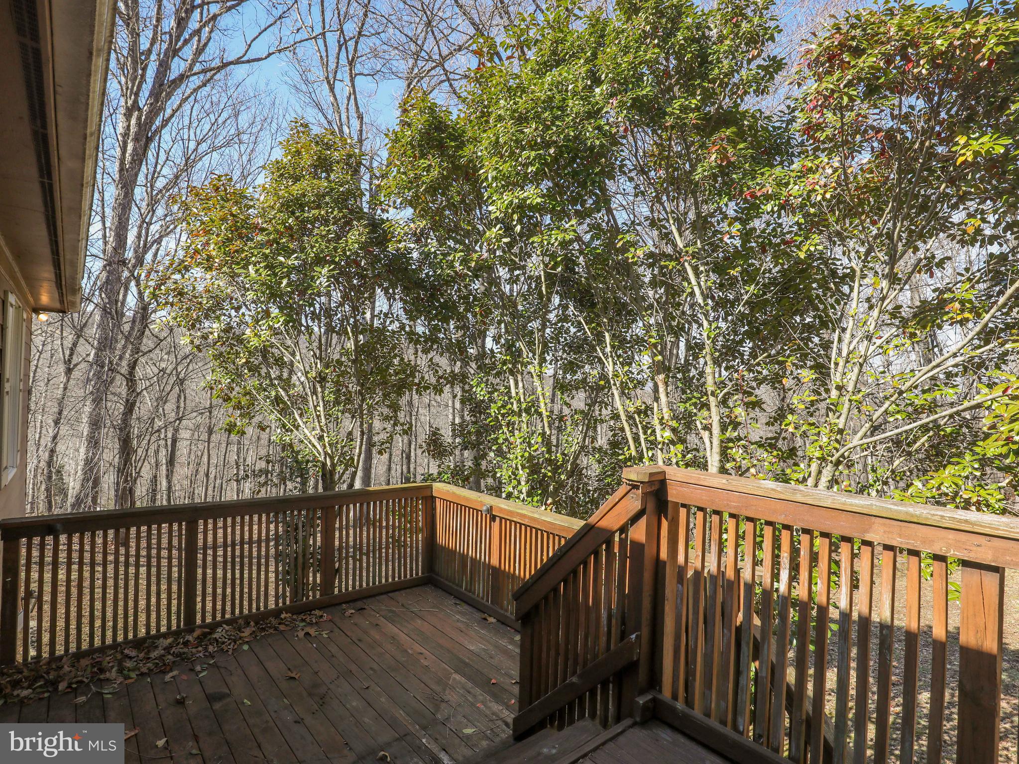 708 Remount Road Front Royal, VA 22630 - Photo 31 of 32