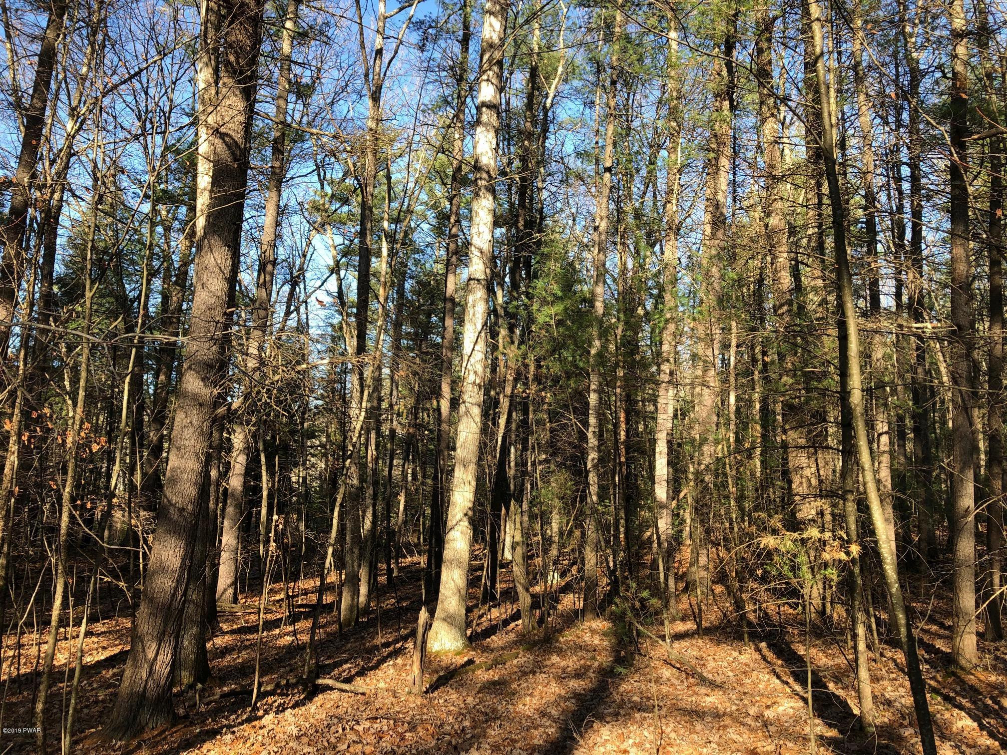 Lot 536 Timber Ridge Drive Hawley, PA 18428 - Photo 6 of 10