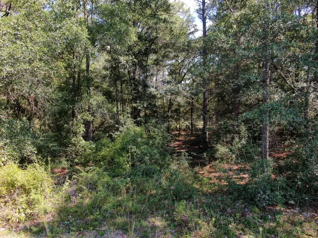 $79,900 | Lot 20 Magnolia Lake Drive, DeFuniak Springs, FL 32433