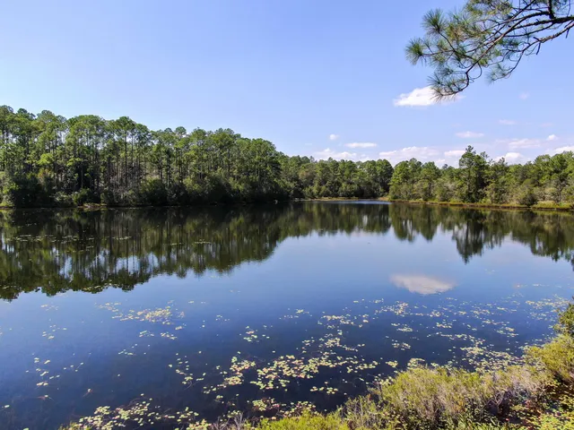 a view of lake from next to house