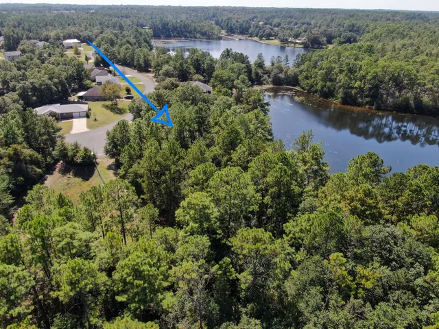 a view of a yard with plants