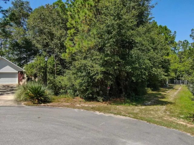 a view of a green yard