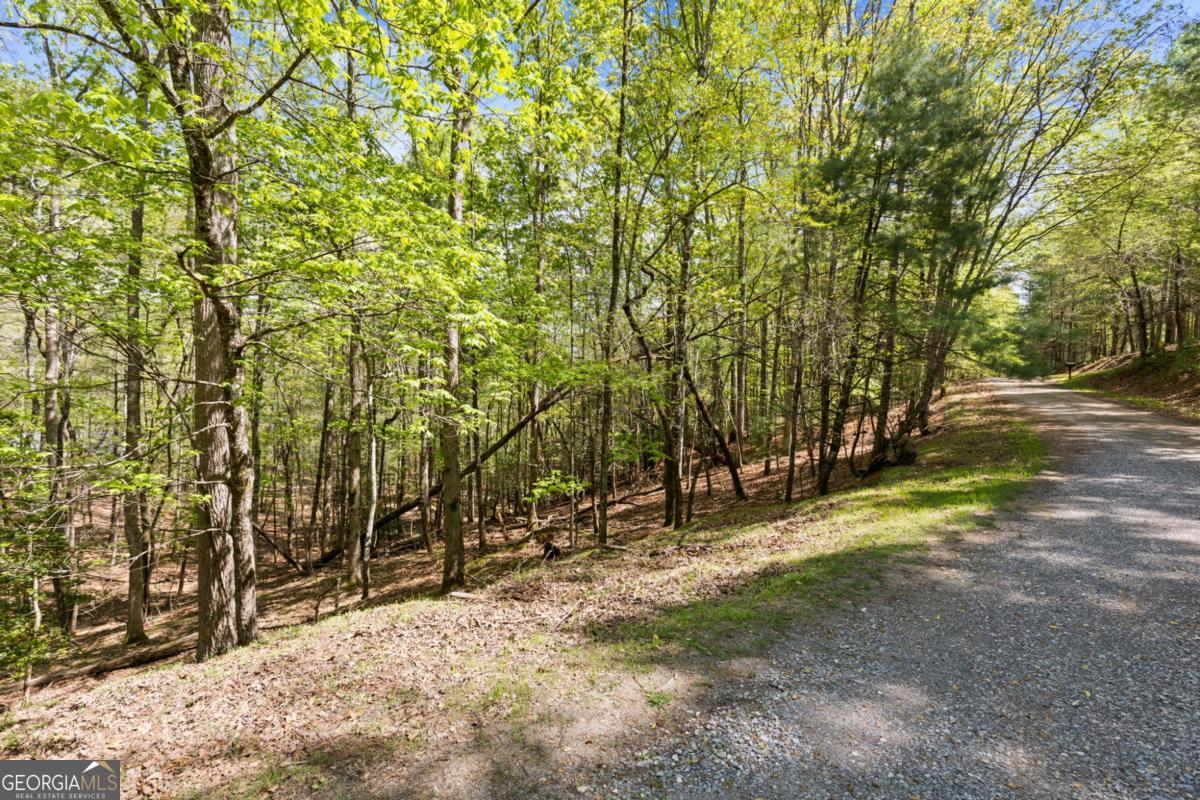75-acre Chinkapin Drive Blue Ridge, GA 30513 - Photo 12 of 22