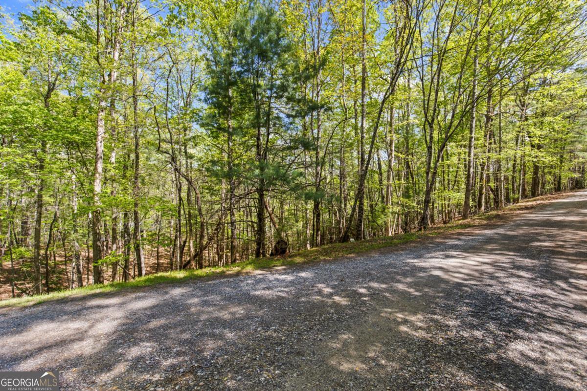 75-acre Chinkapin Drive Blue Ridge, GA 30513 - Photo 13 of 22