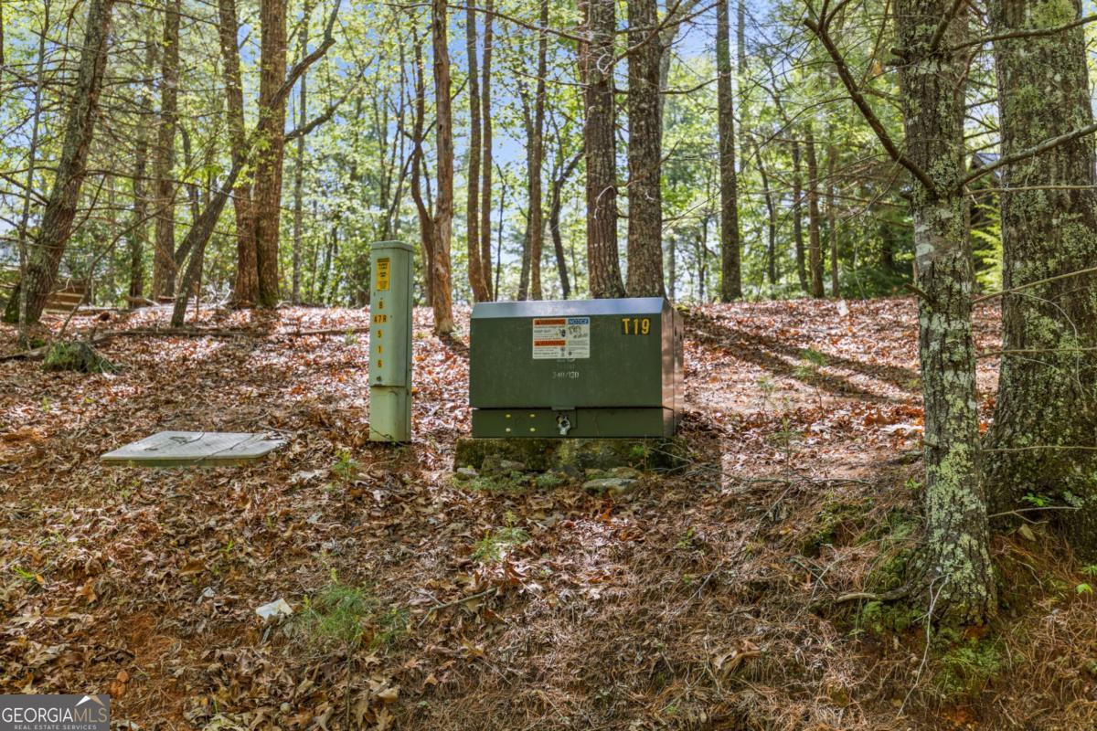 75-acre Chinkapin Drive Blue Ridge, GA 30513 - Photo 14 of 22