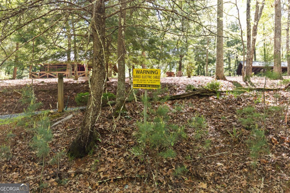 75-acre Chinkapin Drive Blue Ridge, GA 30513 - Photo 15 of 22