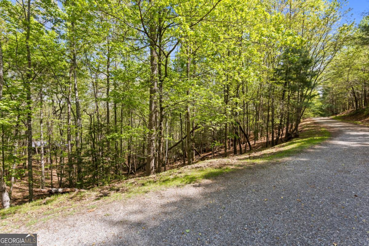 75-acre Chinkapin Drive Blue Ridge, GA 30513 - Photo 17 of 22