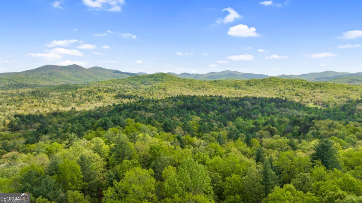 75-acre Chinkapin Drive Blue Ridge, GA 30513 - Photo 20 of 22