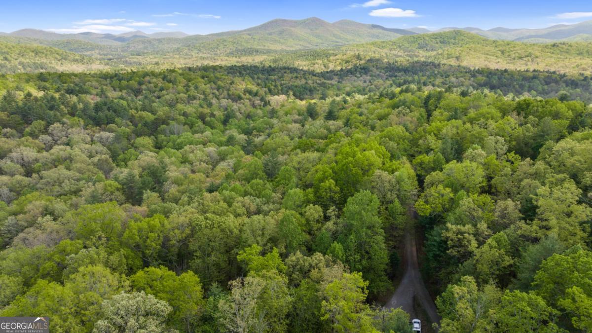 75-acre Chinkapin Drive Blue Ridge, GA 30513 - Photo 21 of 22