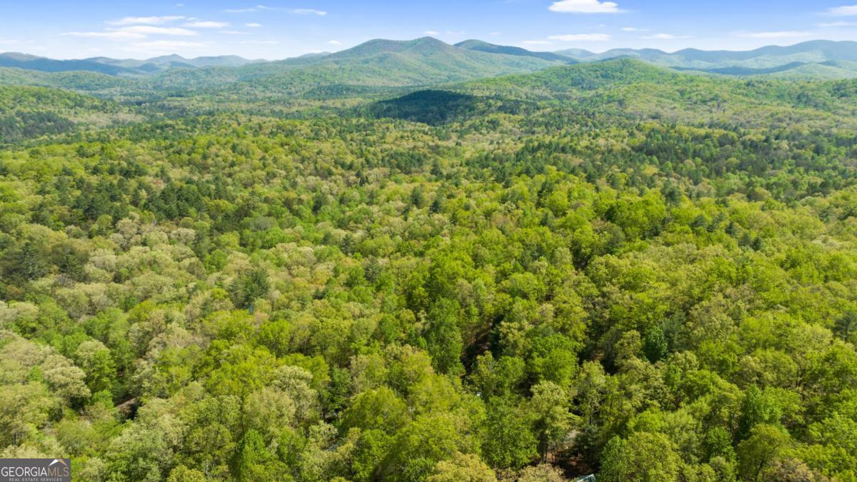 75-acre Chinkapin Drive Blue Ridge, GA 30513 - Photo 22 of 22