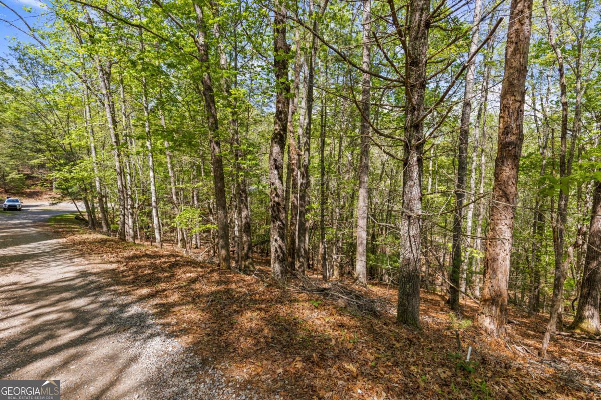 75-acre Chinkapin Drive Blue Ridge, GA 30513 - Photo 5 of 22