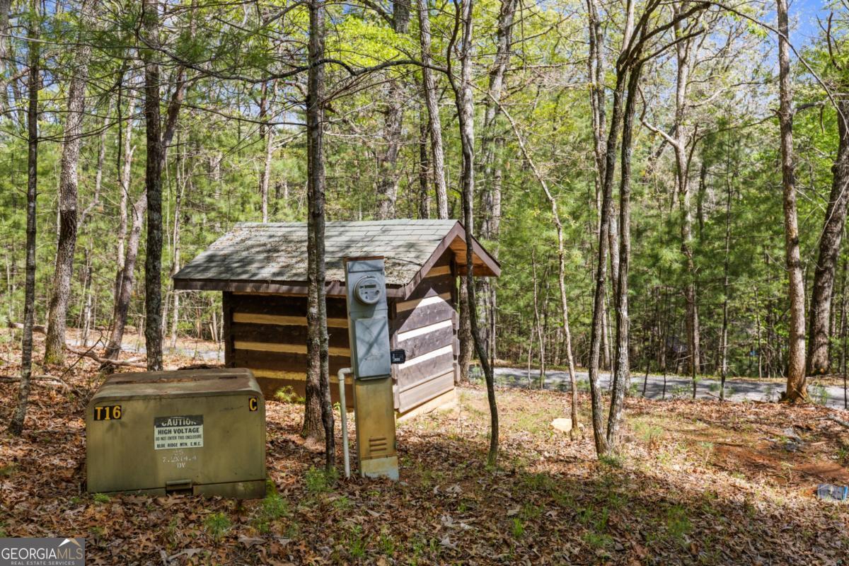 75-acre Chinkapin Drive Blue Ridge, GA 30513 - Photo 8 of 22