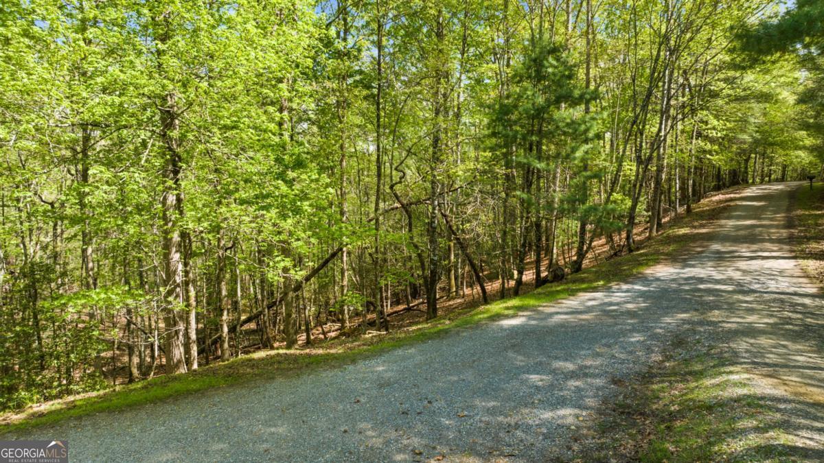 75-acre Chinkapin Drive Blue Ridge, GA 30513 - Photo 10 of 22