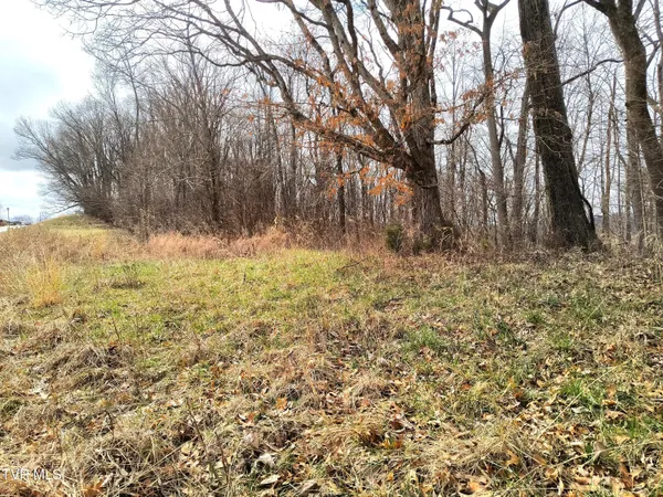 $29,900 | Lot 44 Chimney Top Lane, Unit 44, Chuckey, TN 37641
